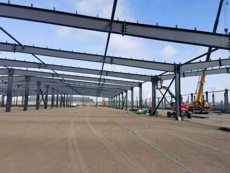 微信图片_20241212153553