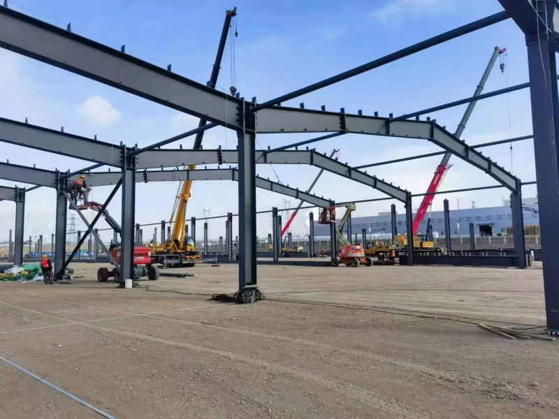 微信图片_20241212153557